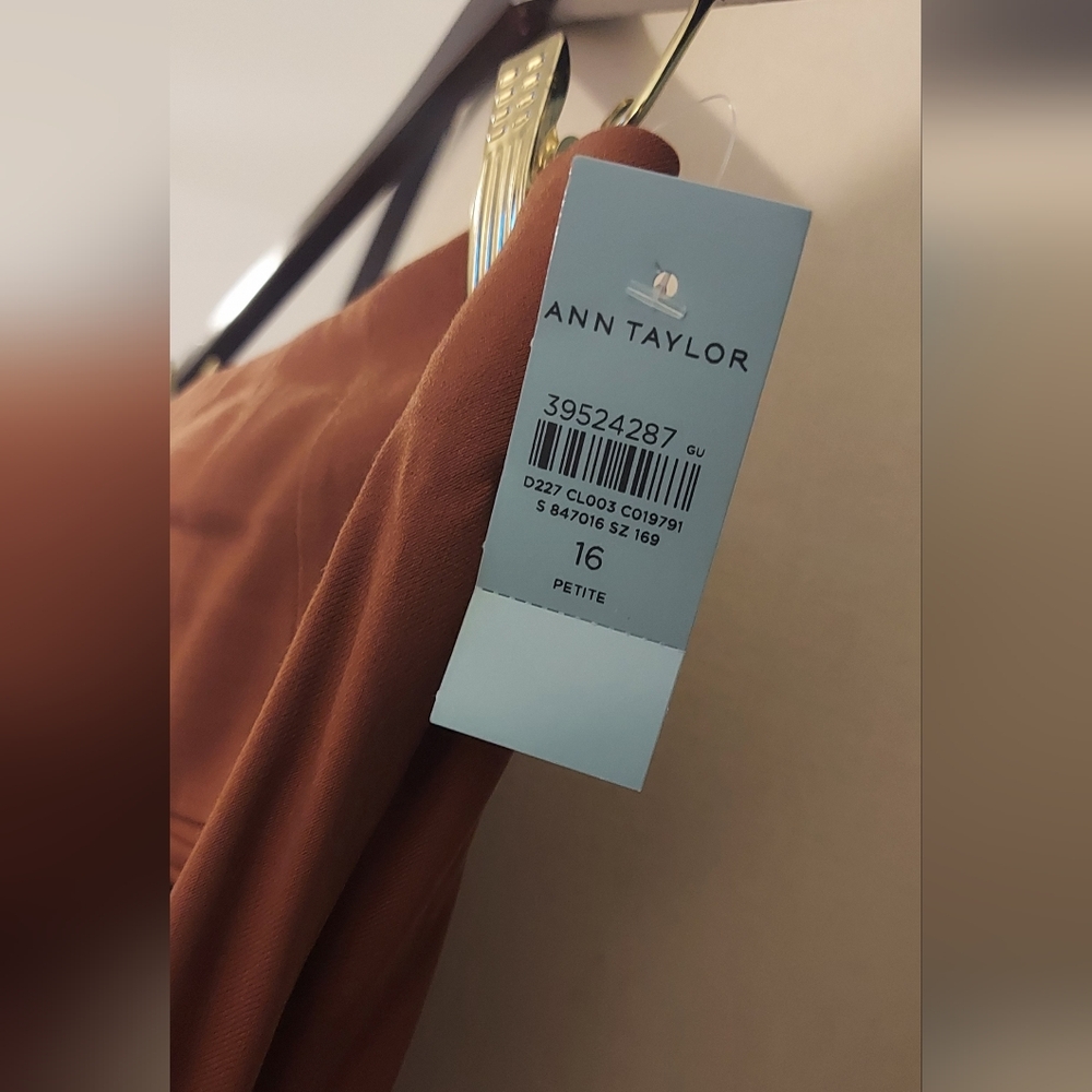 Ann Taylor Rust Dress - Size 16 Petite